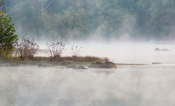 (1 st) Novice~Rebecca Doran~Morning Mist potomac River