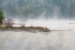 (1 st) Novice~Rebecca Doran~Morning Mist potomac River