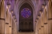 Rose Window