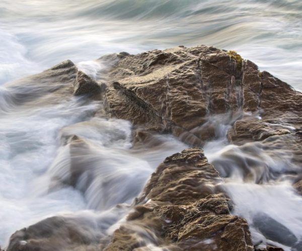 Rocky Shore Acadia National Park' by Cathrine Sasek