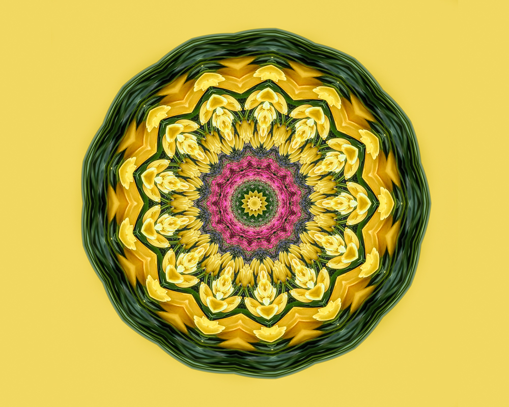 co31advancedtulip_kaleidoscope14