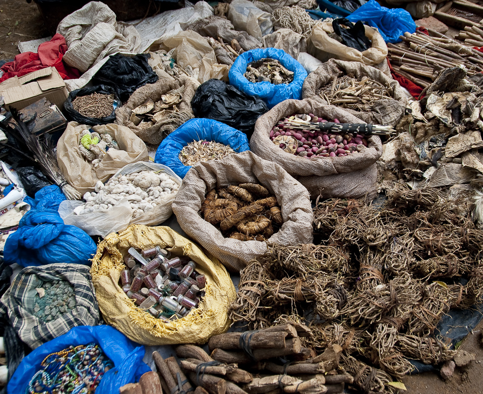 CO32NoviceQuentinFisherShaman’s_Market16 NIH Camera Club