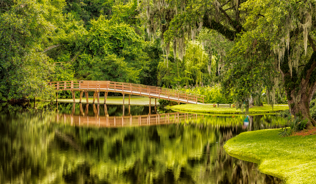 CO4~1~Novice~Linda~Eisenstadt~Savannah_Bridge_To_Nowhere_2~19