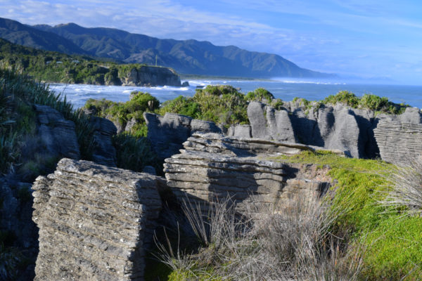 CO5~2~Advanced~Margaret~Sprott~Pancake_Rocks_Along_New_Zealand_Coast~69