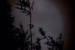 CO7~2~Novice~Shadows_Of_The_Night~64