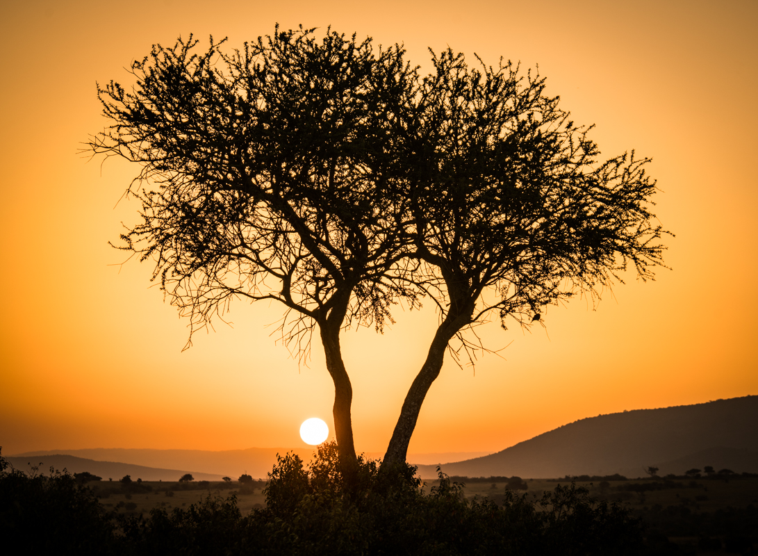 (HM)Novice~Nathanael Lee~Maasai Mara Sunset
