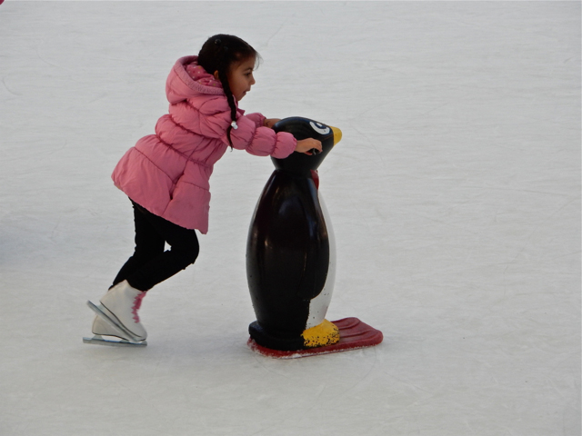 Photo10 Nih Camera Club